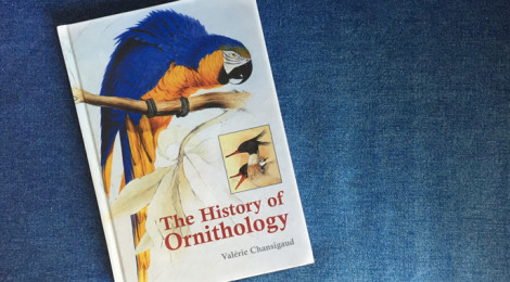 The History og Ornithology
