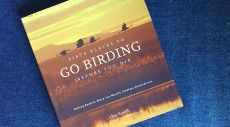 Fifty places to go birding before you die