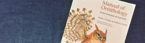 Livro: Manual of Ornithology - Avian Structure & Function