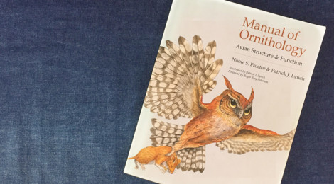 Livro: Manual of Ornithology - Avian Structure & Function