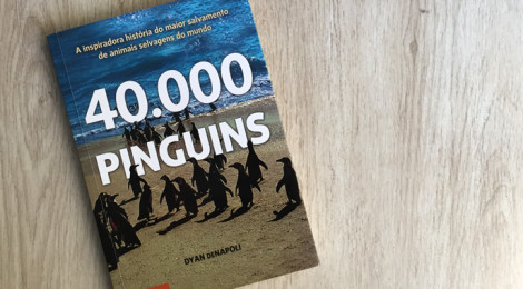 40.000 pinguins