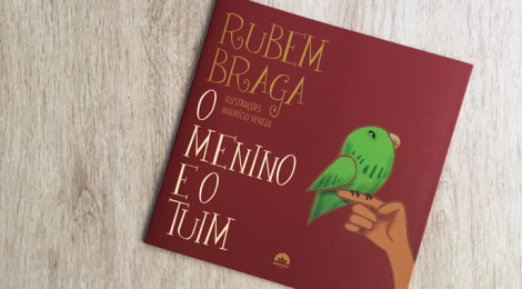 Livro infantil: O menino e o tuim