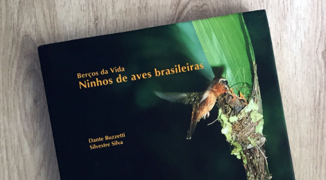 Livro: Berços da vida - Ninhos de aves brasileiras