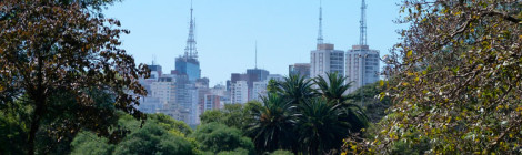 Parque Ibirapuera - SP