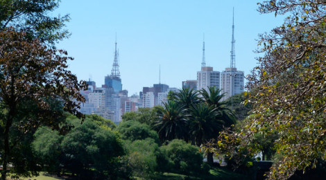 Parque Ibirapuera - SP