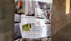 congresso ornitologia neotropical
