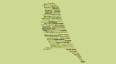 passer domesticus popular names