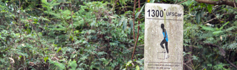 Pista da saúde São Carlos