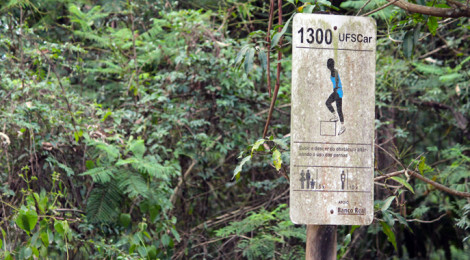 Pista da saúde São Carlos