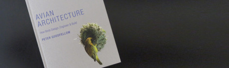 livro avian architecture