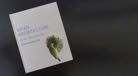 livro avian architecture