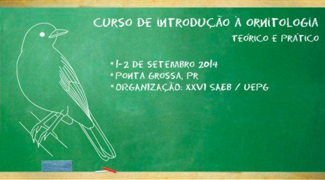 Curso de ornitologia em Ponta Grossa - PR