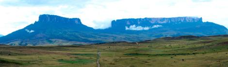 Trilha para o Monte Roraima