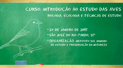 curso introdução ao estudo das aves