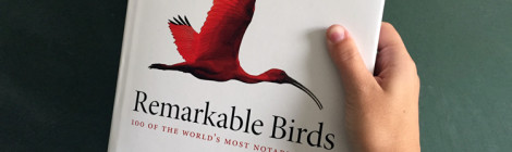 bird book