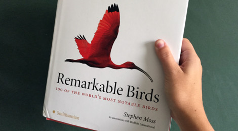 bird book
