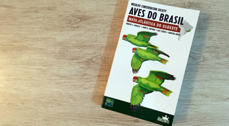 guia de campo: aves da mata atlântica do sudeste