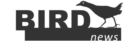 BirdNews | Janeiro 2018