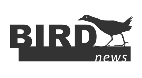 BirdNews | Janeiro 2018