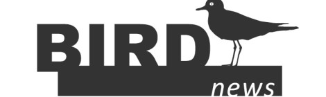 BirdNews | Fevereiro 2018