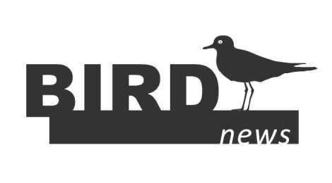 birdnews