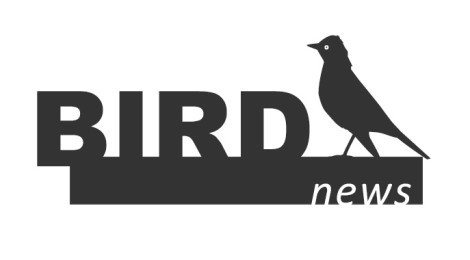 BirdNews | Março 2017