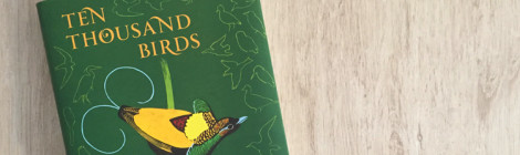 ten thousand birds book