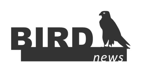 BirdNews | Julho 2018