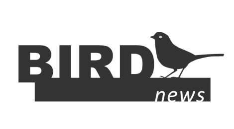 BirdNews | Agosto 2017