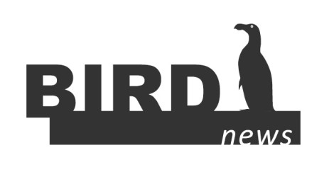BirdNews | Setembro 2016