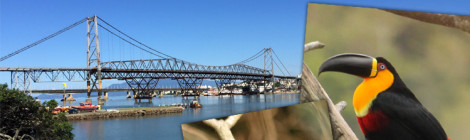 birdwatching florianopolis