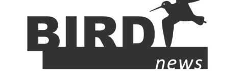 birdnews