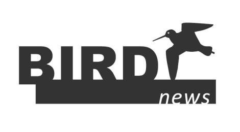 birdnews
