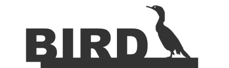 birdnews novembro
