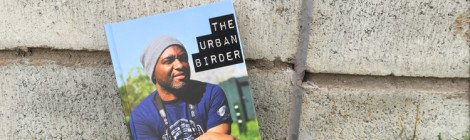 Livro: The Urban Birder (David Lindo)