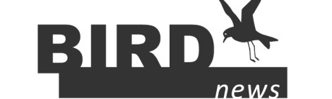 birdnews dezembro