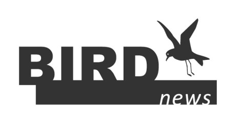 birdnews dezembro