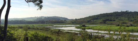 Marambaia