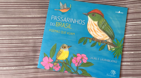 Passarinhos do Brasil