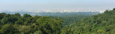 núcleo pedra grande