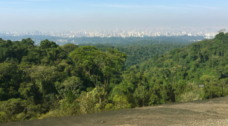 núcleo pedra grande