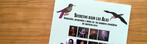 Secretos bajos las Alas - capa do livro