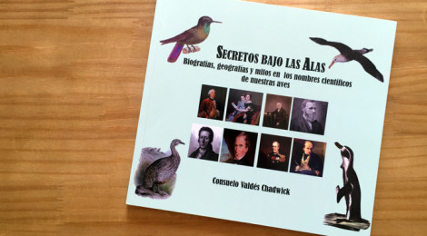 Secretos bajos las Alas - capa do livro