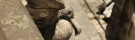 Passarinhando em Quito, Equador