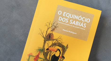 O equinócio dos sabiás