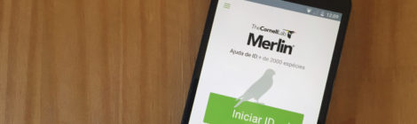 aplicativo de identificação de aves Merlin