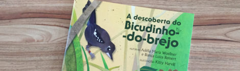 A descoberta do bicudinho-do-brejo