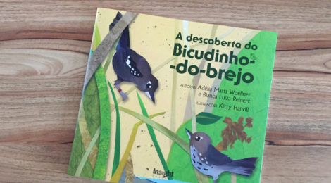 A descoberta do bicudinho-do-brejo