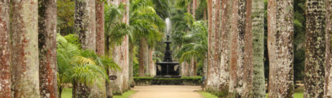 jardim botânico do rio de janeiro