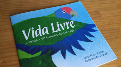 A história do papagaio-de-cara-roxa